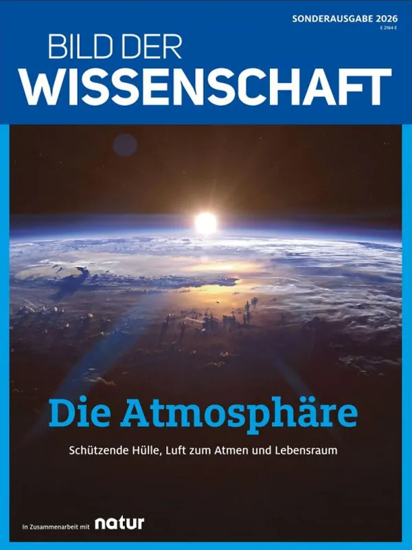 direktabo-bdw-die-atmosphäre