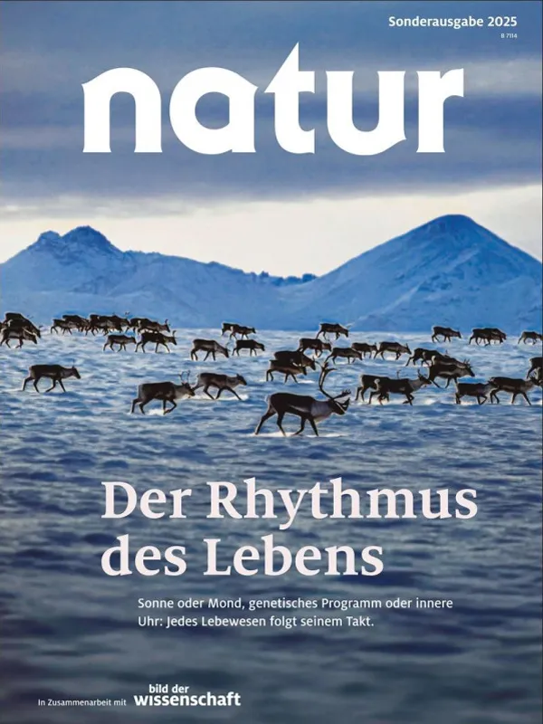 direktabo-natur-der-rythmus-des-lebens