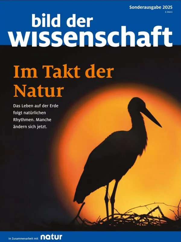 direktabo-natur-im-takt-der-natur