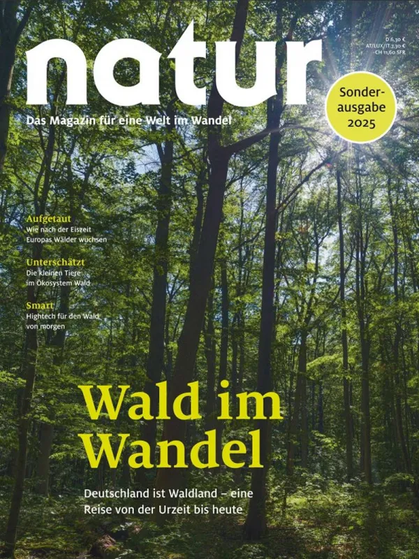 direktabo-natur-wald-im-wandel