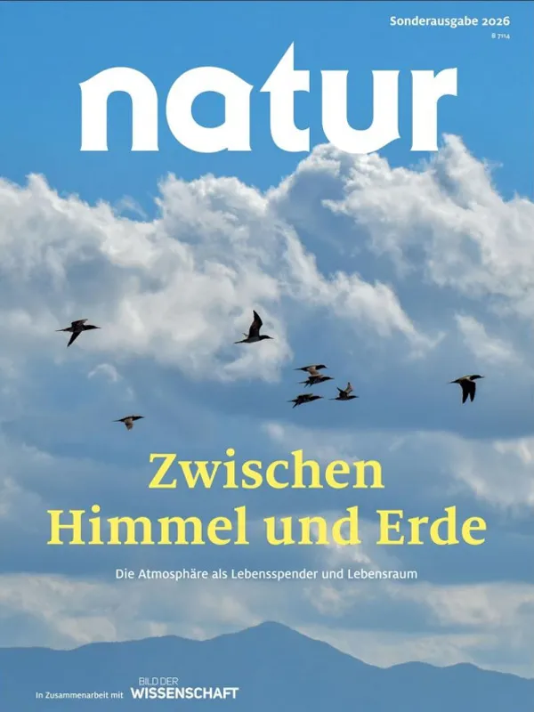 direktabo-natur-zwische-himmel-und-erde